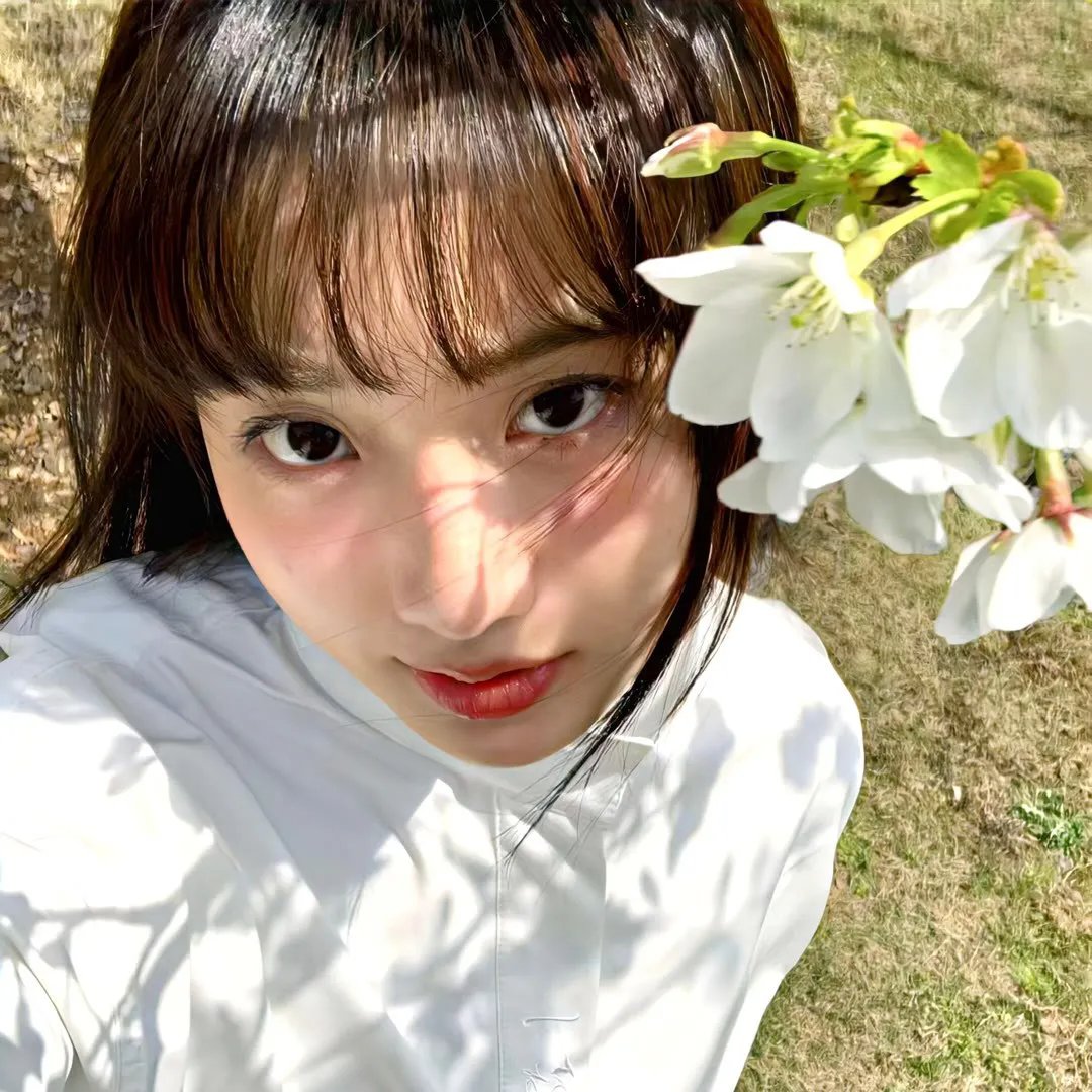 夏日福星粤语